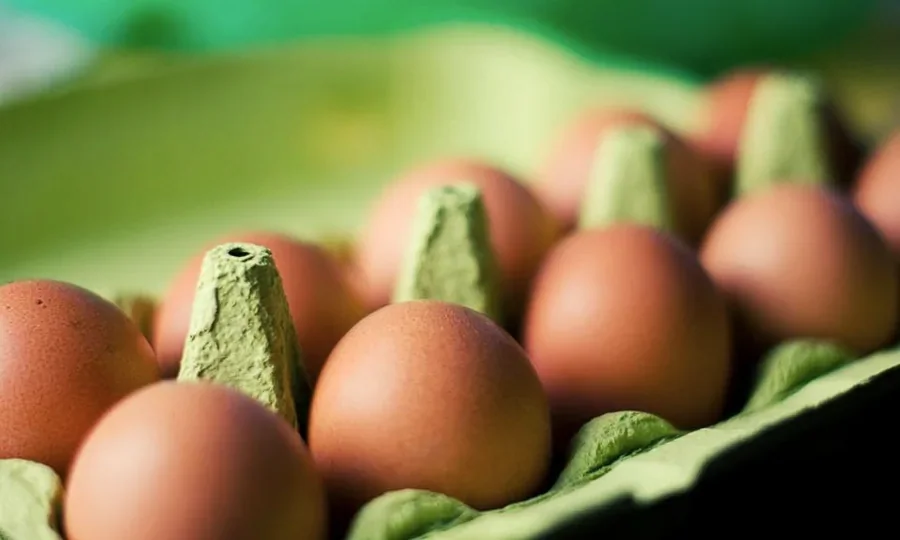 Brown eggs in a cardboard carton